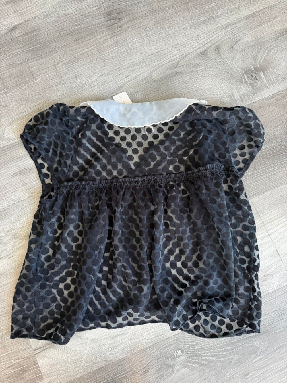 Maeve Black Polka Dot Mesh Blouse White Scalloped Collar | XXS